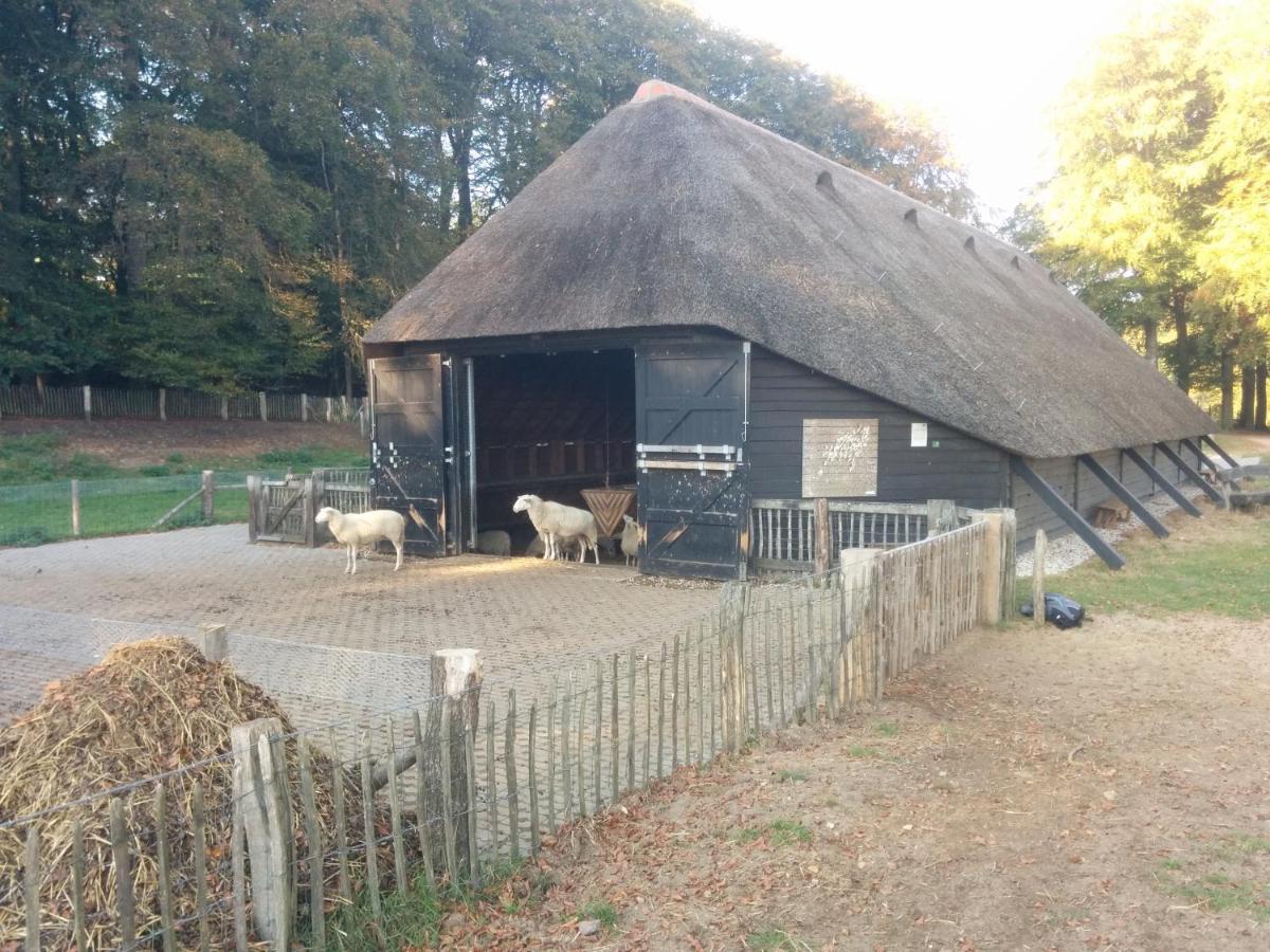 Chalet Hoenderloo Beuk Esterno foto