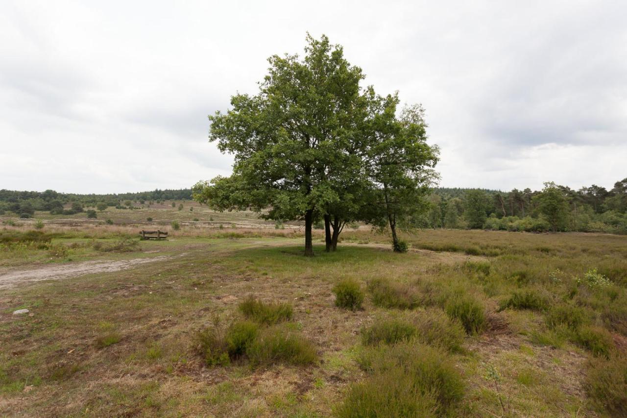 Chalet Hoenderloo Beuk Esterno foto